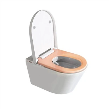 Moderne Smart One Piece Toalett