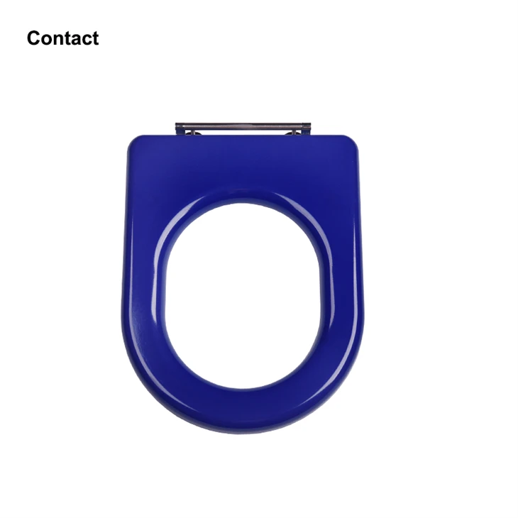 disabled toilet seat without lid
