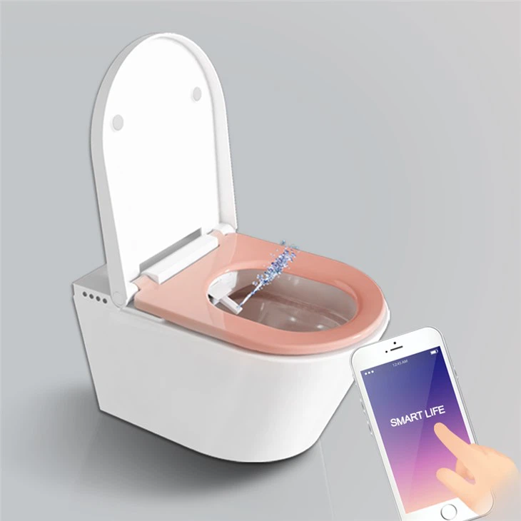 remote control toilet flush
