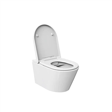 Toalettskål med spyle og bidet